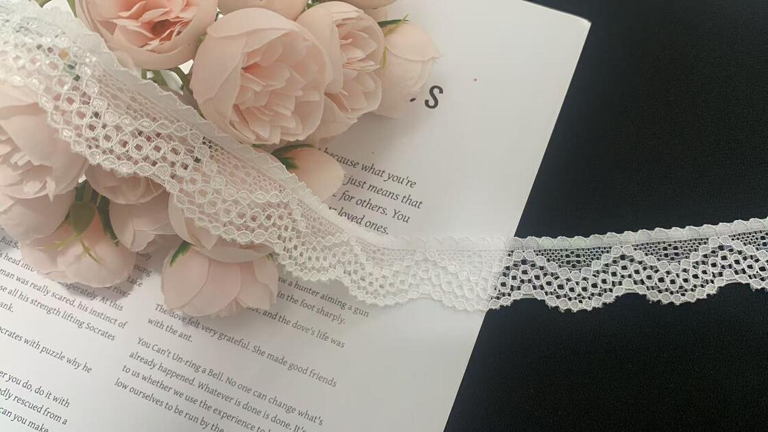 Quality 2.5cm Exquisite French Wave Pattern Eco-Friendly Nylon Lace Trim With Hollow-out Design For Garment Decoration factory