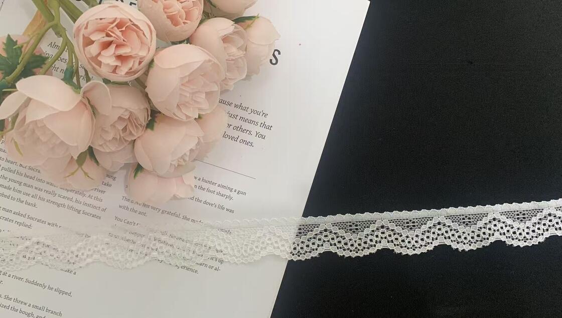 Quality 2.5cm Exquisite French Wave Pattern Eco-Friendly Nylon Lace Trim With Hollow-out Design For Garment Decoration factory