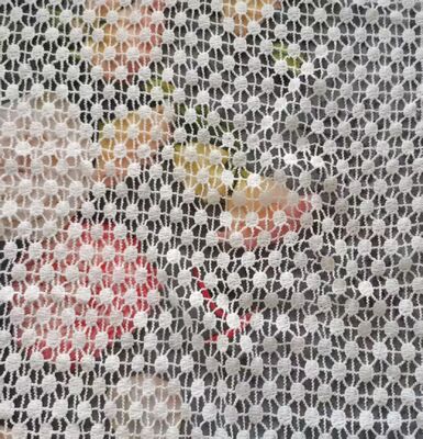Quality High Quality Flower Embroidery Lace Fabric Water Soluble Polyester for Ladies' Garments and Bags factory