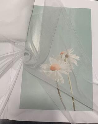 Quality White 100% Nylon Soft SOILD Mesh Fabric 150cm Eco-Friendly for Garment Shoes Children's Clothing Wedding Dresses Home Decor factory