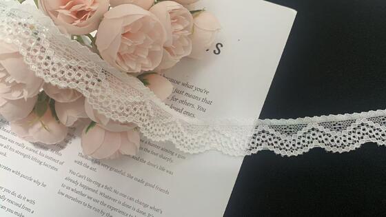 Quality 2.5cm Exquisite French Wave Pattern Eco-Friendly Nylon Lace Trim With Hollow-out Design For Garment Decoration factory
