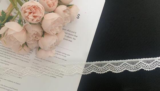 Quality 2.5cm Exquisite French Wave Pattern Eco-Friendly Nylon Lace Trim With Hollow-out Design For Garment Decoration factory