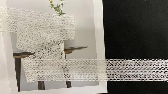 Quality 5cm White Symmetric Hollow-out Nylon Lace Trim with Delicate Scalloped Edge Eco-friendly Elastic Fabric for Garment Sewing factory