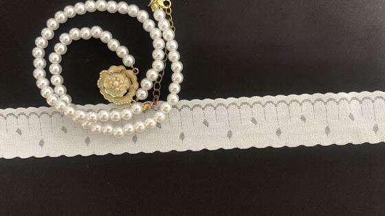 Quality 2.5cm Width Scalloped Lace Trim with Dotted Hollow Motifs and Soft Fabric for Lingerie and Dress Decoration factory