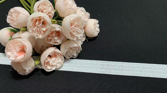 Quality 2cm Width Breathable Skin-friendly Nylon Spandex Elastic Band for Underwear and Sportswear Waist Trim factory