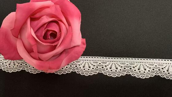 Quality 2.8cm Lightweight Hollow Polyamide Lace Trim with Single Scalloped Edge for Lingerie factory
