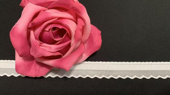Quality 2.5cm Width Double Scallop Heart Nylon Spandex Lace Trim with Breathable Mesh for Underwear Mass Production factory