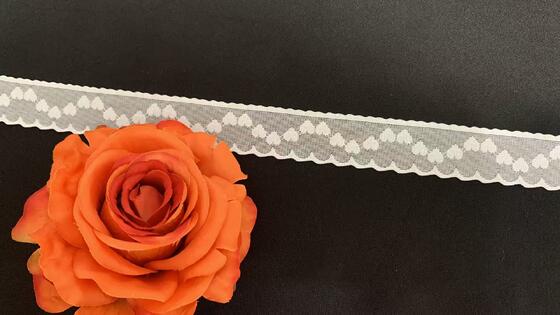 Quality 2.5cm Width Ivory Nylon Spandex Elastic Lace Trim with Heart Pattern and Scalloped Edge for Lingerie Decoration factory