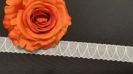 Quality 2.5cm Width Nylon Spandex Lace Trim with Rhombus Mesh and Scalloped Edge for Lingerie Decoration factory