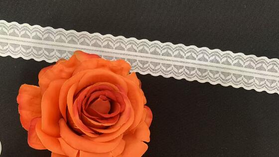 Quality 3cm Nylon Spandex Elastic Lace Trim with Double Scalloped Edge and Symmetric Geometric Pattern for Lingerie and Garment Decoration factory
