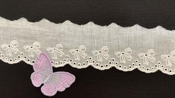 Quality Cotton Eyelet Lace Trim with Bow Embroidery Scalloped Edge for Garment Decoration E2662409 factory